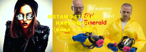 крисы Михайловск