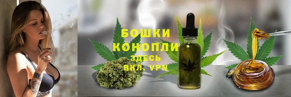 крисы Михайловск
