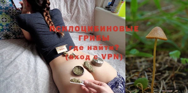 прущий лед Михайлов