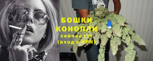 крисы Михайловск