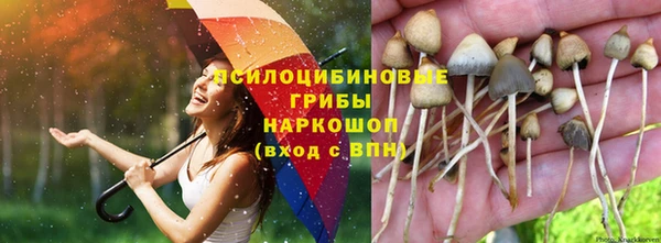 мдма Михайловка