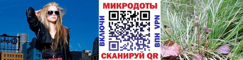 Купить  Очёр  Псилоцибиновые грибы Psilocybine cubensis 